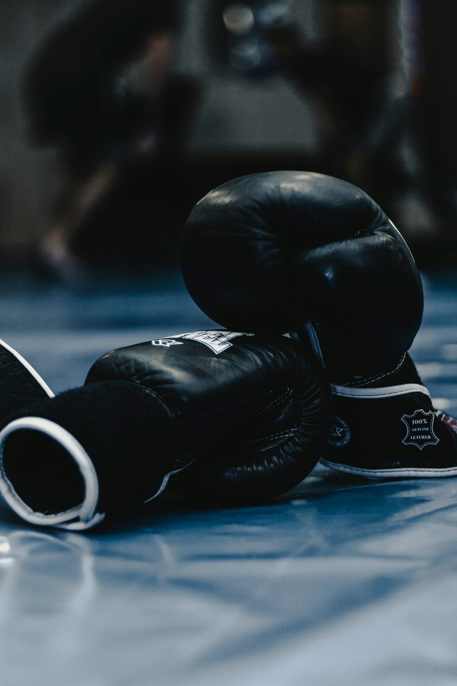 Boxe Privée